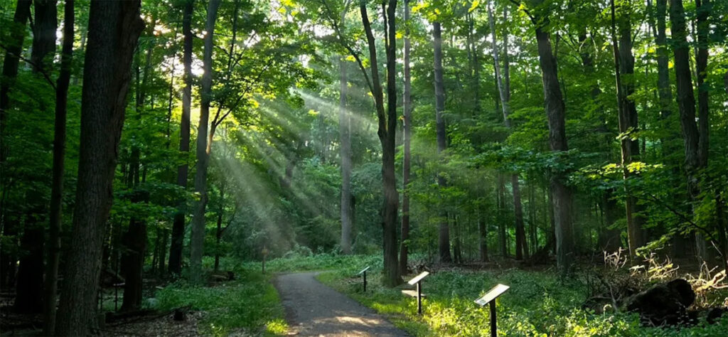 Fenner Nature Center