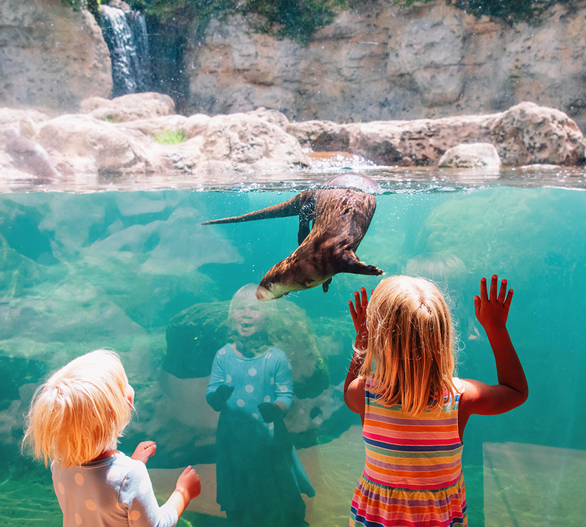 5 Sensory-Friendly Spots in and Around Grand Rapids, Michigan 